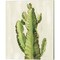 Front Yard Cactus by Silvia Vassileva 12" x 15" Canvas Wall Art (Set of 2)
